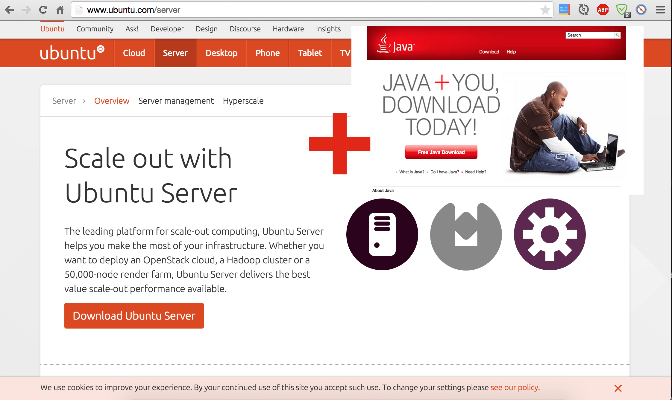 oraclewithjava